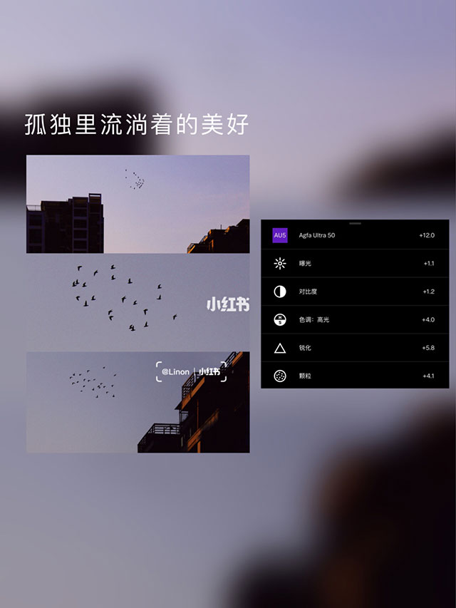 孤独里流淌着的美好调色方案