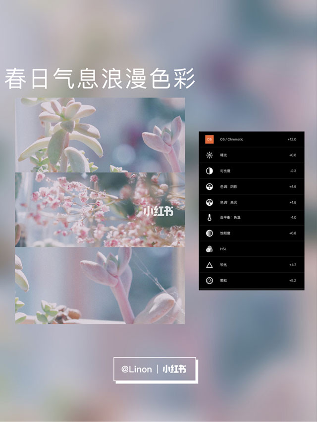 春日气息浪漫色彩调色方案